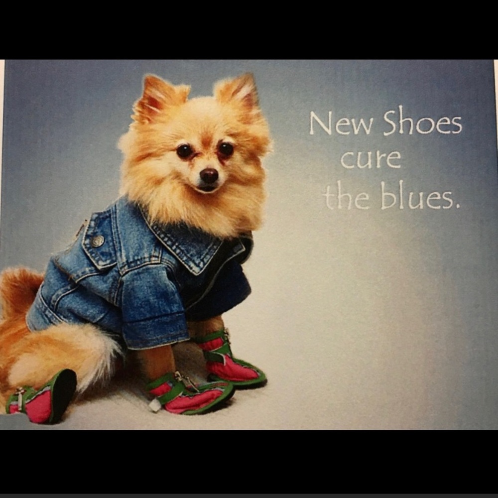 Life is short. Buy the shoes!